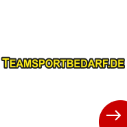 Teamsport